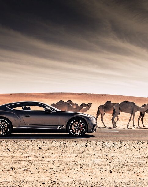Middle East Car Import Trends: What Buyers Want